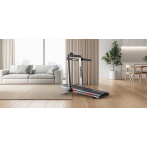 Беговая дорожка Yamaguchi Home RACE Incline